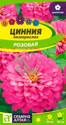 Цветы Цинния Розовая низкорослая (0,3 г) Семена Алтая