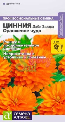 Цветы Цинния Дабл Захара Оранжевое чудо (6 шт) Семена Алтая