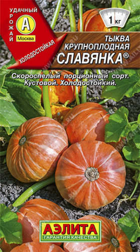 1034 Тыква крупноплодная Славянка 1 г