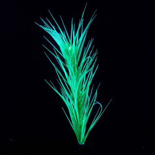 Растение силиконовое аквариумное, светящееся в темноте, 8 х 18 см, зелёное