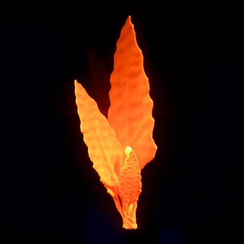 Растение силиконовое аквариумное, светящееся в темноте, 5 х 14 см, оранжевое