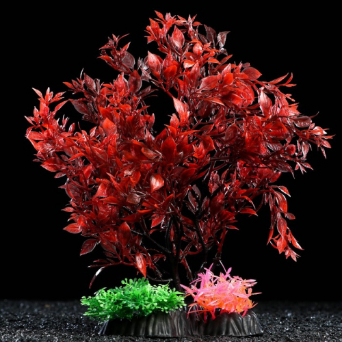 Растение искусственное аквариумное, 25 см, красно-зелёное