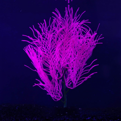 Растение силиконовое аквариумное, светящееся в темноте, 9 х 20 см, фиолетовое