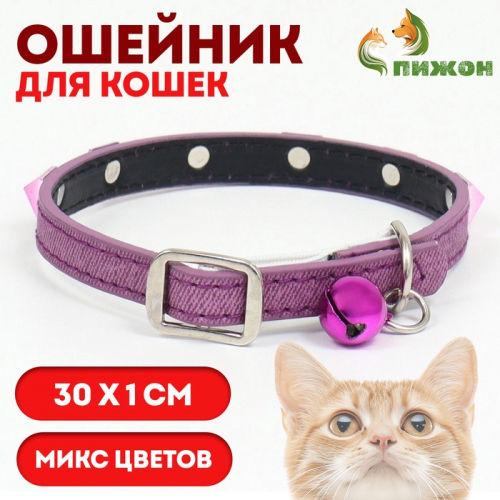 Ошейник 