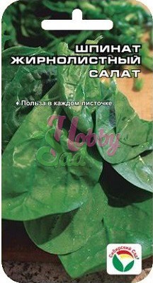 Шпинат Жирнолистный (1 г) Сибирский Сад