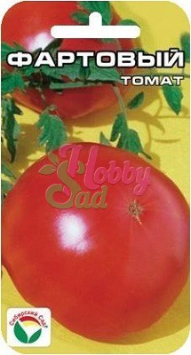 Томат Фартовый (20 шт) Сибирский Сад