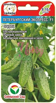 Огурец Петербургский экспресс F1 (7 шт) Сибирский Сад