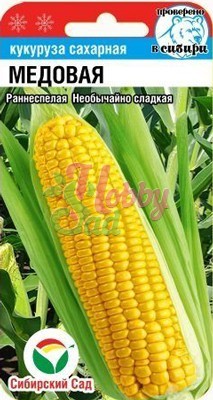 Кукуруза Попкорн (10 шт) Сибирский Сад