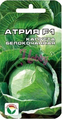 Капуста Атрия F1 белокочанная (10 шт) Сибирский Сад