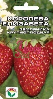 Земляника Королева Елизавета (10 шт) Сибирский Сад