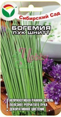 Лук Богемия шнитт (0,5 гр) Сибирский Сад