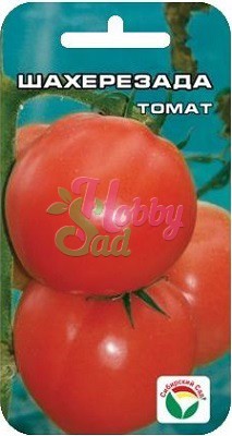 Томат Шахерезада (20 шт) Сибирский Сад