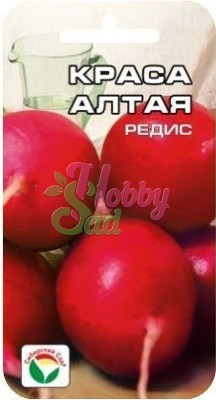 Редис Краса Алтая (2 гр) Сибирский Сад