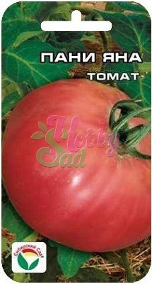 Томат Пани Яна (20 шт) Сибирский Сад