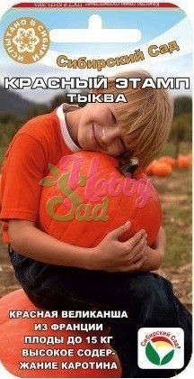 Тыква Красный Этамп (5 шт) Сибирский Сад