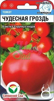 Томат Чудесная гроздь (20 шт) Сибирский Сад