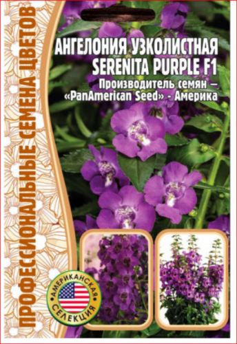 Семена Ангелония Узколистная Serenita Purple