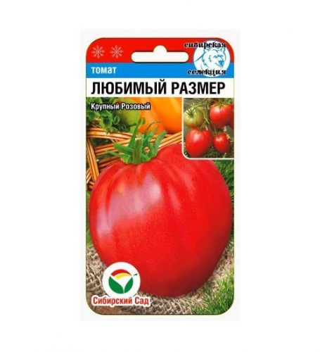 Любимый размер 20шт томат (Сиб Сад)
