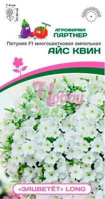 Цветы Петуния