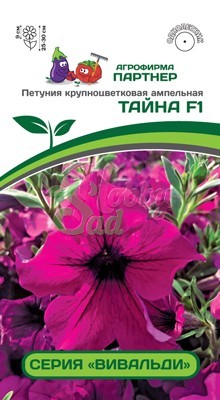 Цветы Петуния