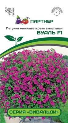 Цветы Петуния