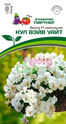 Цветы Виола 