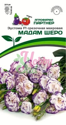 Цветы Эустома МАДАМ ШЕРО F1 срезочная махровая (5 шт в амп) Партнер
