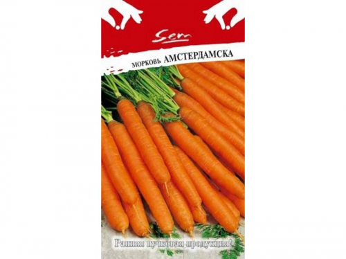 Морковь Амстердамска (2г),