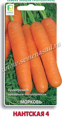 Морковь Нантская 4 ЦП 2гр