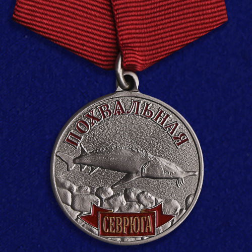 Медаль похвальная 