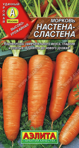 0562 Морковь Настена-сластена 2гр