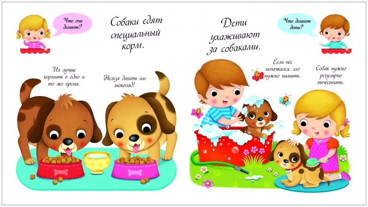 Собаки и щенки. Кто это такие?