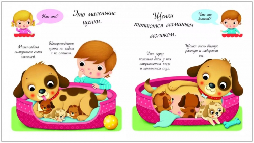 Собаки и щенки. Кто это такие?