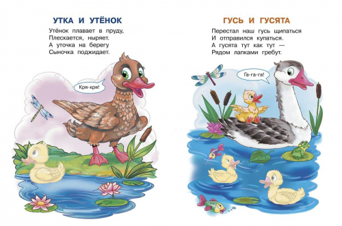 Ирина Шестакова: Домашние животные