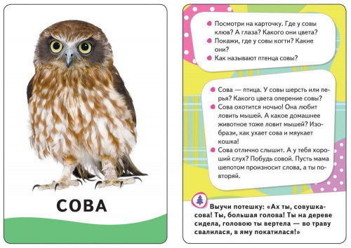 Развивающие карточки. В лесу