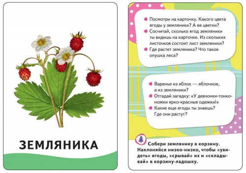 Развивающие карточки. В лесу