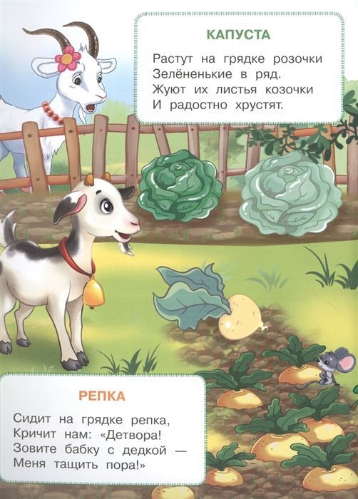Ирина Шестакова: Овощи и фрукты