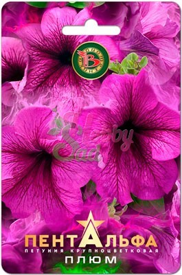 Цветы Петуния Пентальфа F1 Плюм крупноцветковая (15 шт) Биотехника НОВИНКА 2023!