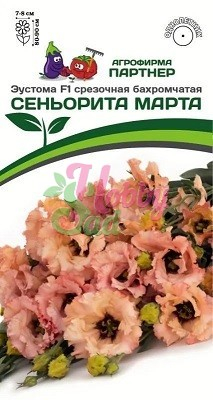 Цветы Эустома СЕНЬОРИТА МАРТА F1 бахромчатая лососевая (5 шт в амп) Партнер НОВИНКА 2023!