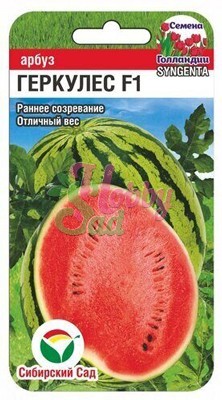 Арбуз Геркулес F1(3 шт) Сибирский Сад