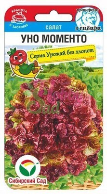 Салат Уно Моменто листовой (0,5 г) Сибирский Сад