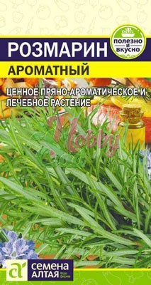 Розмарин Ароматный (0,03 гр) Семена Алтая