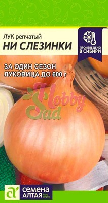 Лук Ни Слезинки (0,2 гр) Семена Алтая