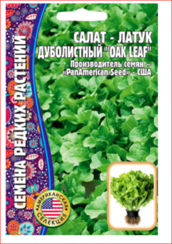 Семена Салат - латук Дуболистный Oak leaf. СЕЛЕКЦИЯ США