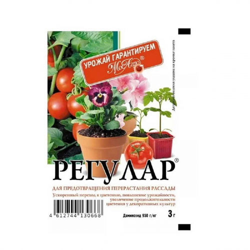 Регулар 3г (от перерастания) (МосАгро)  х70