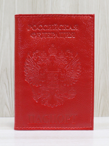 Обложка для паспорта 4-197