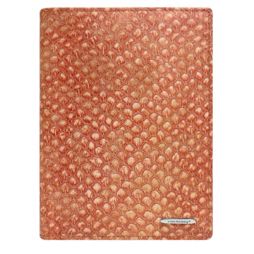 Обложка паспорта LK35055B