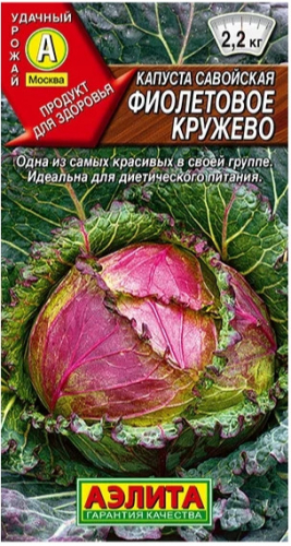 Капуста савойск. Фиолетовое Кружево