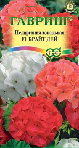 Пеларгония Брайт Дей F1 комнатная