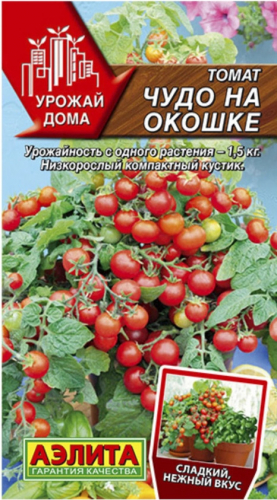 Томат Чудо На Окошке